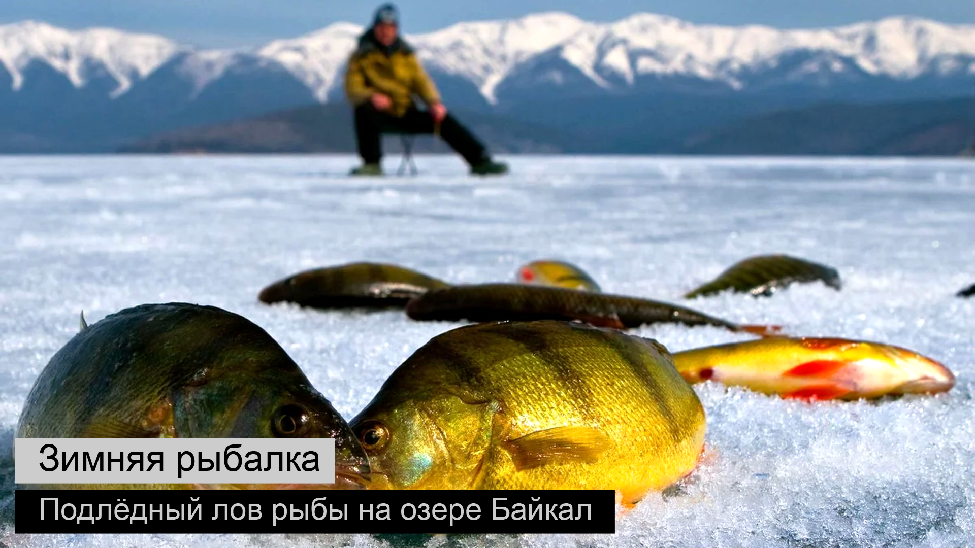 fishing_1080