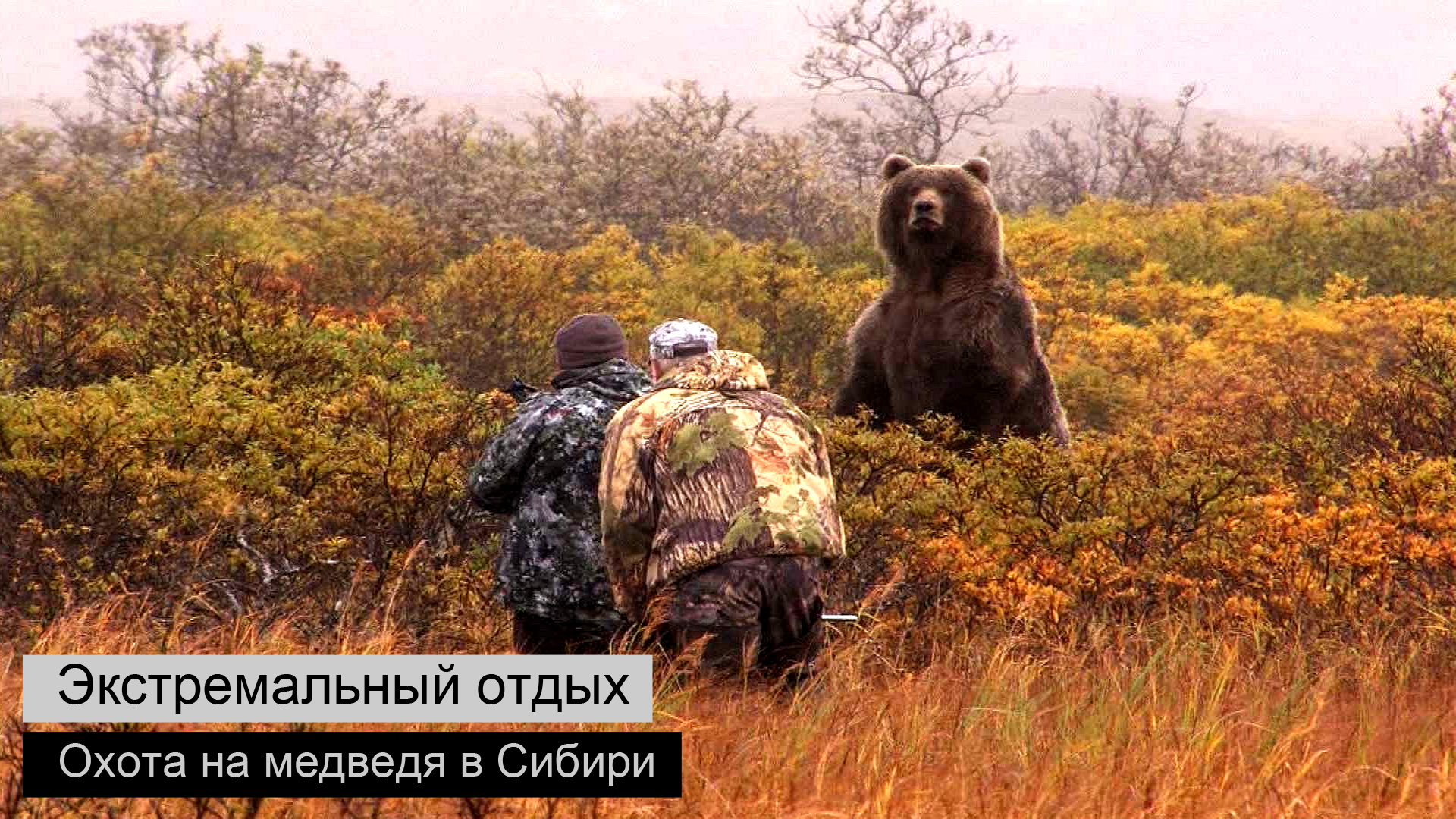 medved_1080